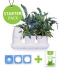 Starter Pack Minigarden Salades et Aromatiques