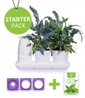 Starter Pack Minigarden Salades et Aromatiques