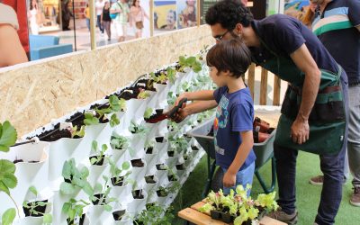 Ateliers d’Horticulture pour enfants et adultes – Potager Minigarden Vertical